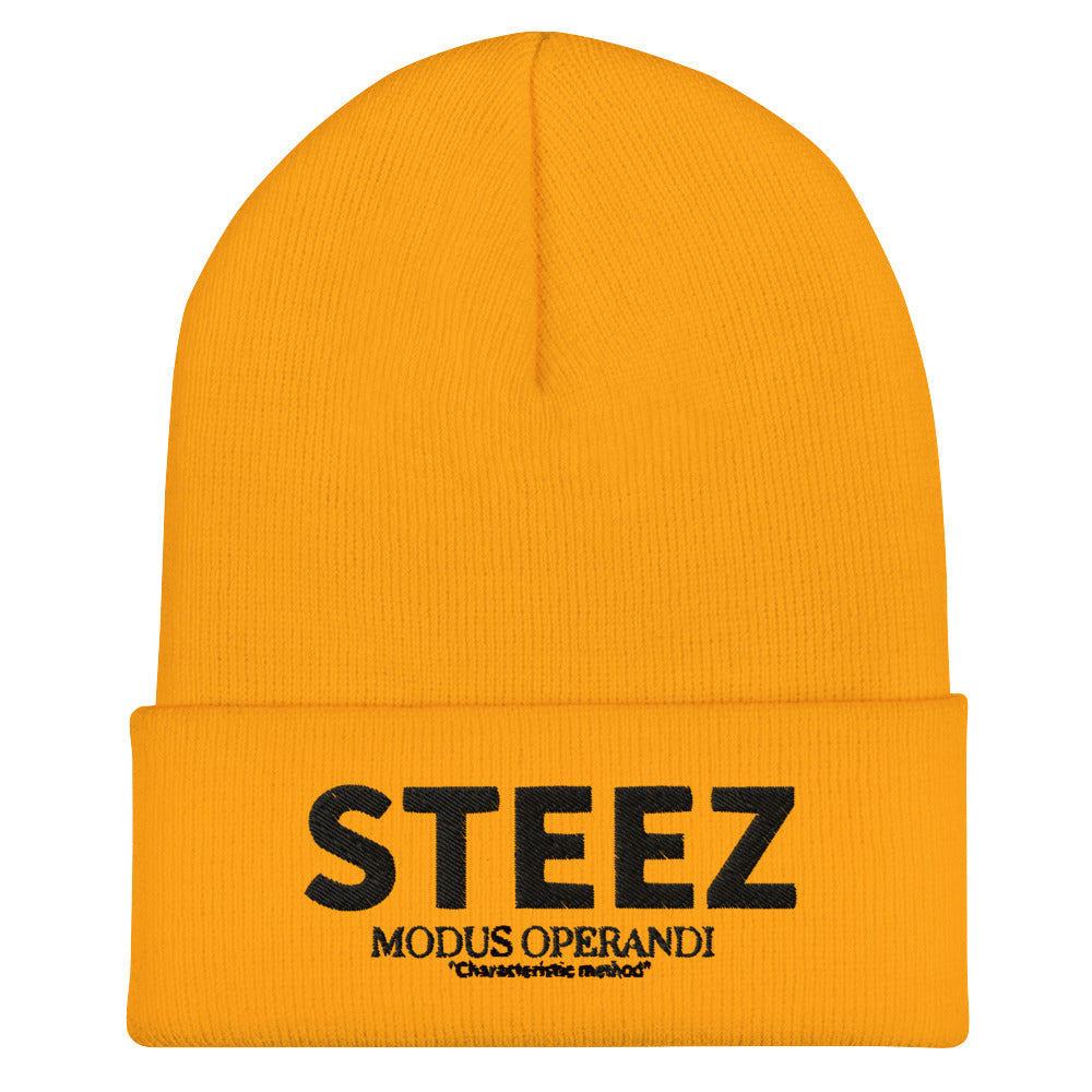 Classic STEEZ Cuffed Beanie