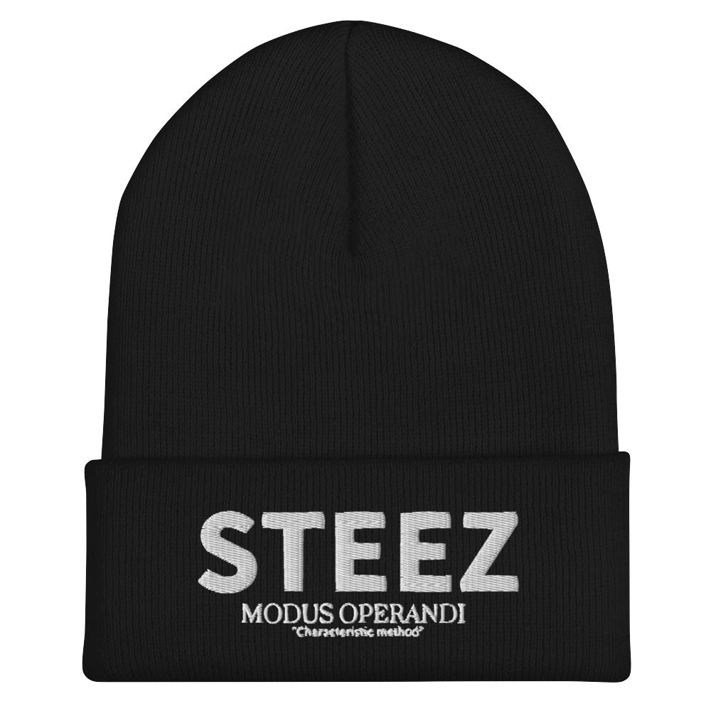 Classic STEEZ Cuffed Beanie