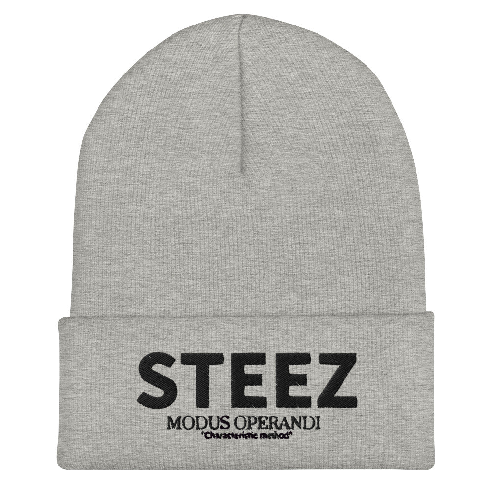 Classic STEEZ Cuffed Beanie