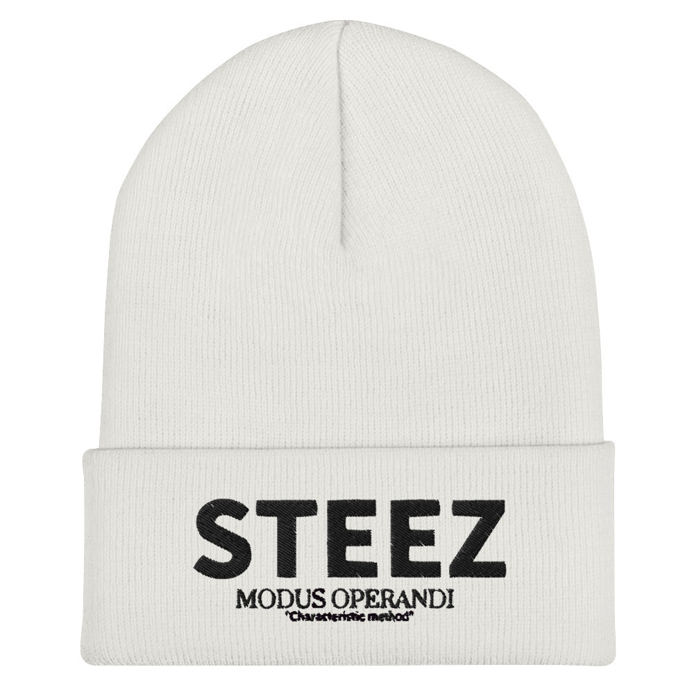 Classic STEEZ Cuffed Beanie